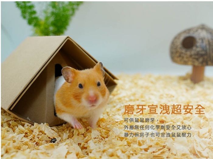 ACE PET愛思沛寵物鼠用折折鼠屋